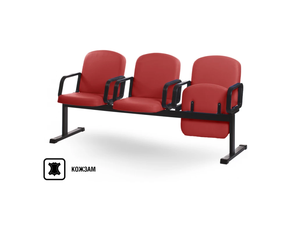 Многоместная секция Камилла