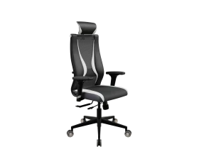 SynchroSit 10 B2-170D - Italy+UMF(SY271)+Extra (M18.B11.G19.W31) (Чер-Бел) images